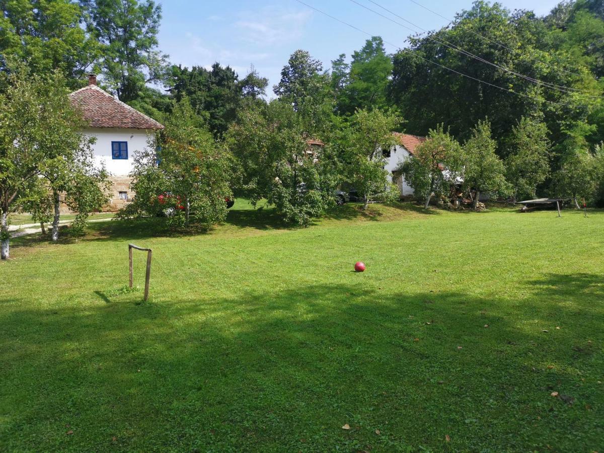 Villa Stara Etno Kuca Radonjic à Guča Extérieur photo